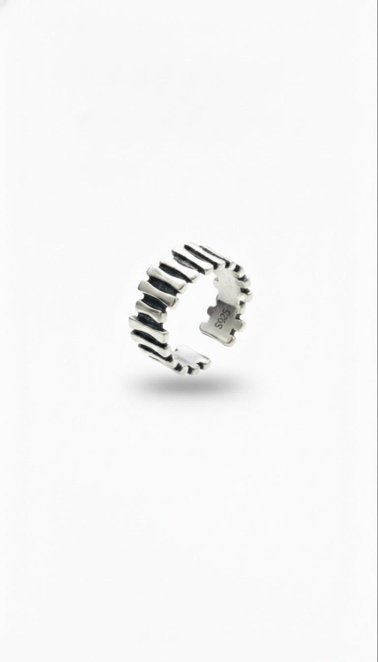 Silver Ring